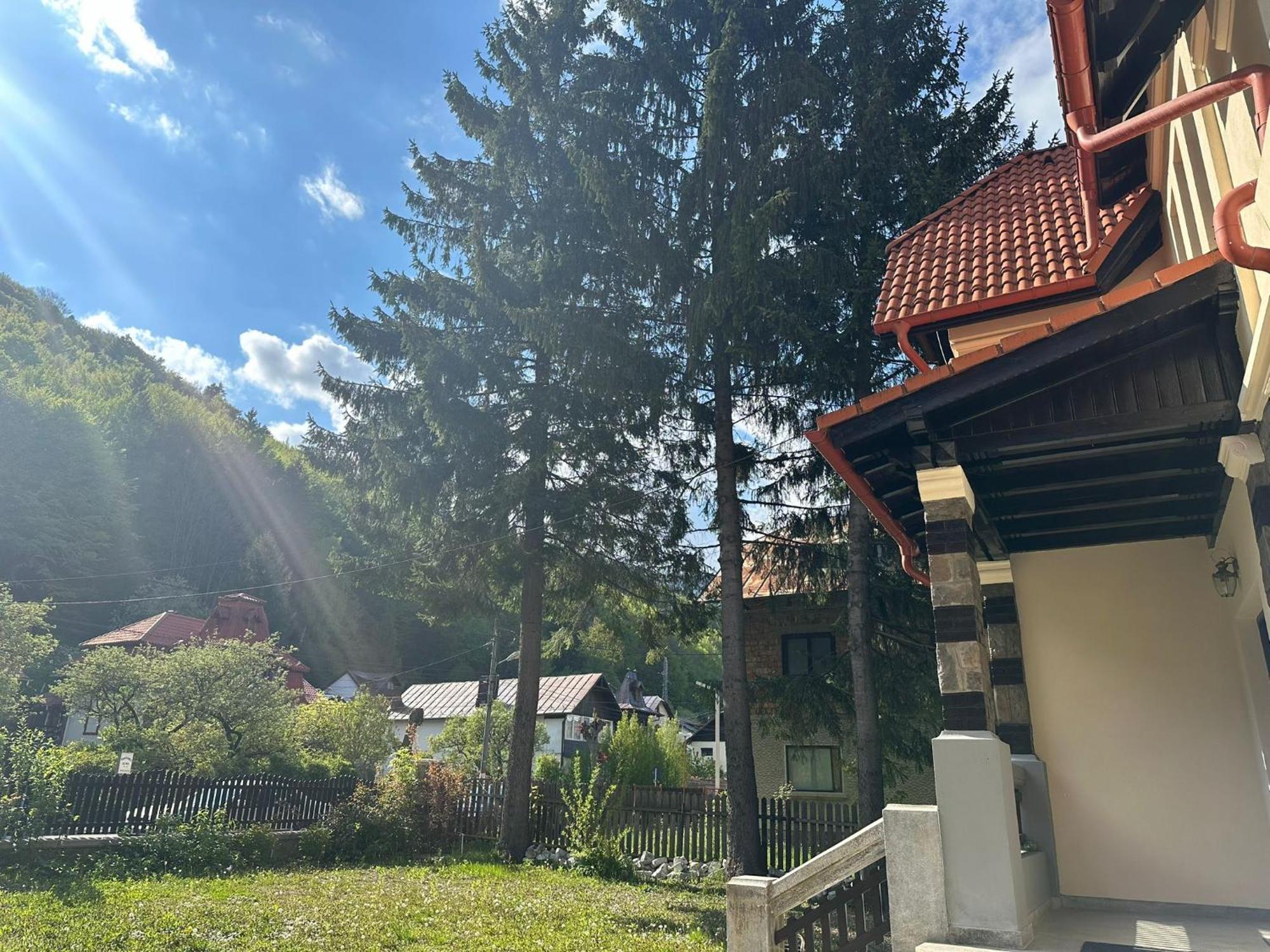 Rapsodia Sinaia住宿加早餐旅馆 外观 照片