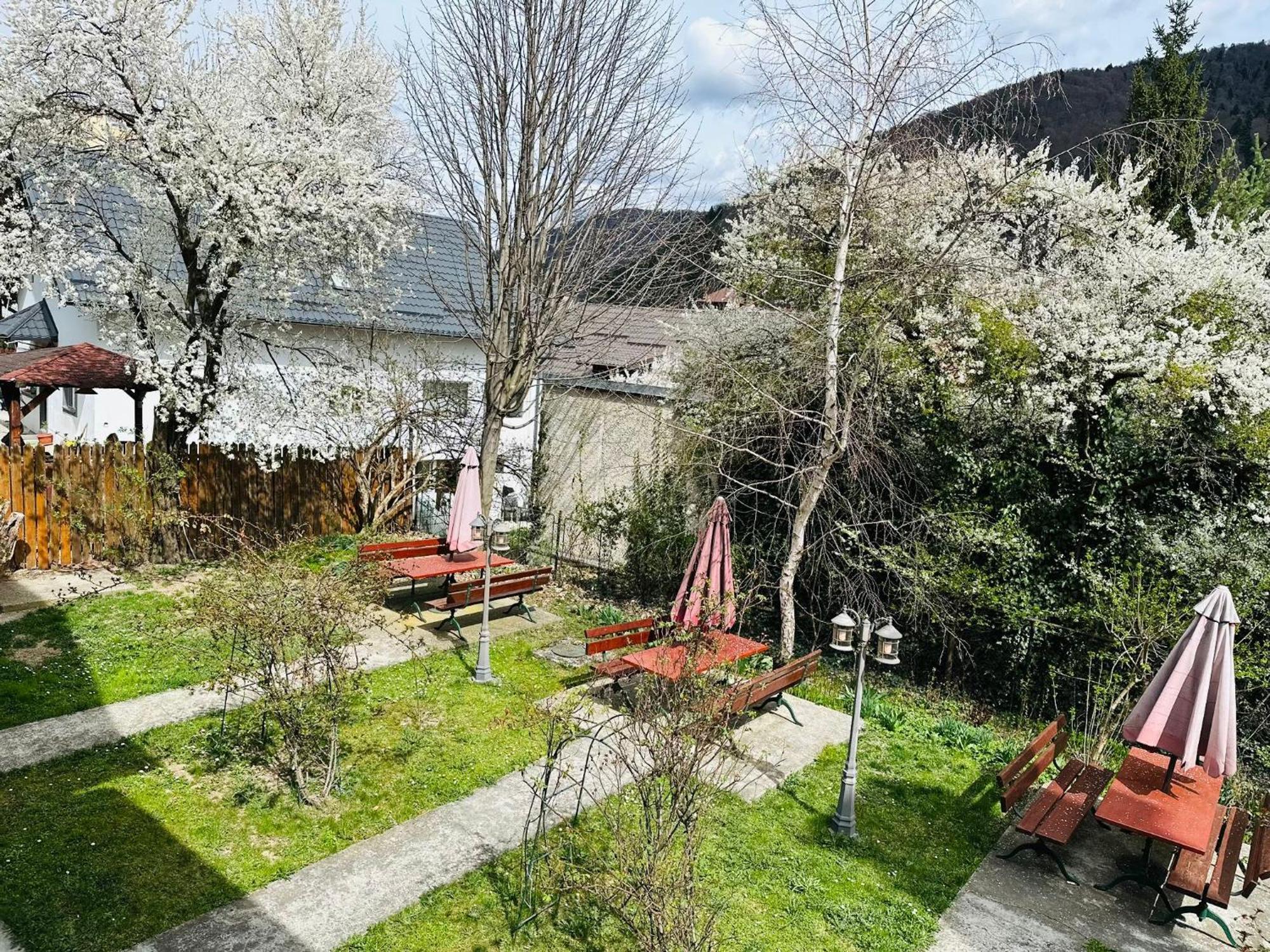 Rapsodia Sinaia住宿加早餐旅馆 外观 照片